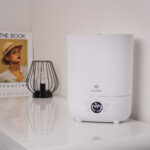TrueLife Humidifier H5 Touch